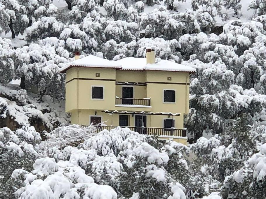 Pelion Mountain & Sea Villa - Private Studio Ano Gatzea Exterior foto