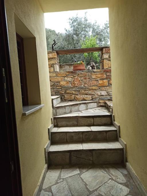 Pelion Mountain & Sea Villa - Private Studio Ano Gatzea Exterior foto